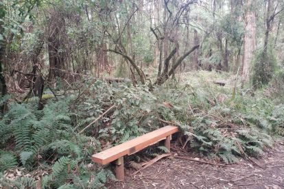 Sherbrooke Falls - Waterfall Trail, Walking Track Map, Dandenong Ranges